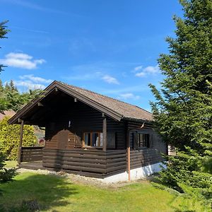 Ferienhaus-Blockhuette Im Fichtelgebirge - Nagler See 2 Km Villa Nagel Exterior photo