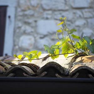 Boutique Hotel Paradiso Porec Exterior photo