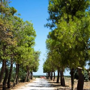 Masseria San Paolo Bed & Breakfast Salice Salentino Exterior photo