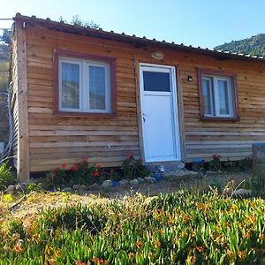 Pavlonya Bungalows Esen  Exterior photo