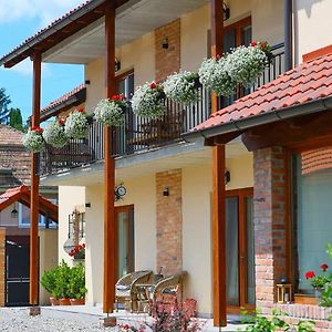 Ama Guest House Turda Exterior photo