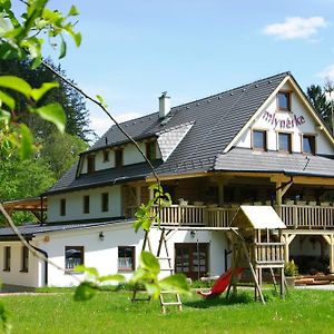 Penzion Mlynarka Hotel Rajecke Teplice Exterior photo