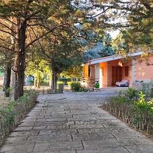 Nature, Memories And Garden Shower At Casa Del Castello Villa Castel Del Monte  Exterior photo