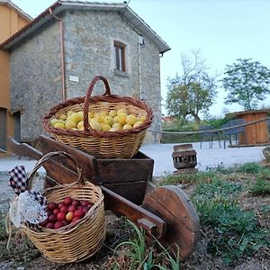 Les Roviles Sant Pere de Torello Exterior photo