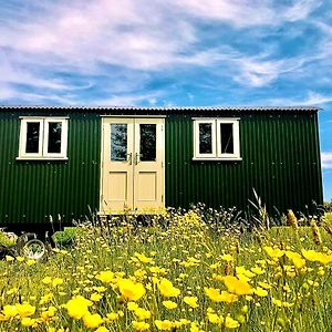 Bathsheba, Luxurious Shepherds Hut Set In Todber A Hamlet Set In Thomas Hardy'S Iconic Rural Dorset Apartment Exterior photo