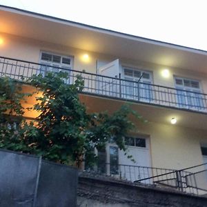 Comnata S Vidom Na Gory Apartment Dilijan Exterior photo