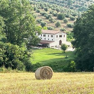 L'Antica Tenuta Bed & Breakfast Montemaggiore  Exterior photo