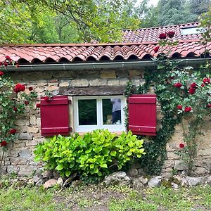 Chambre En Bordure D'Aveyron Bed & Breakfast Saint-Antonin Exterior photo