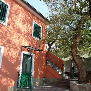 Ai 2 Olmi - Monolocali Nel Verde Bed & Breakfast Muggia Exterior photo