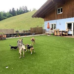 Urlaub Mit Hund Im Salzburger Land Apartment Wegscheid Exterior photo