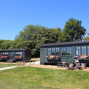 Hog Deer Creek - At Port Lympne Reserve Hythe  Exterior photo