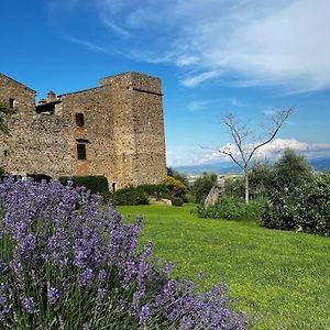 Medieval Tower In Umbria With Swimming Pool Villa Montelagello Exterior photo