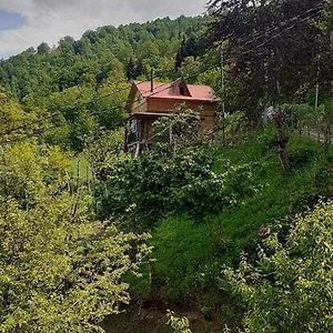My House Villa Batumi Exterior photo
