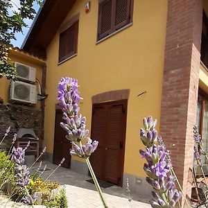 Casa Lavanda Bed & Breakfast Rivoli  Exterior photo