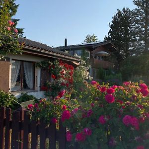 Jolie Chambre Dans Chalet Bed & Breakfast Le Vaud Exterior photo