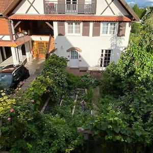 Gite Du Balcon Apartment Diebolsheim Exterior photo