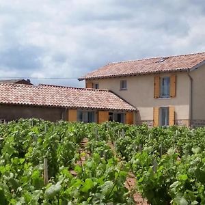 Maison Entiere Au Coeur Des Vignes Des Trois Bacchantes ! Villa Saint-Etienne-la-Varenne Exterior photo