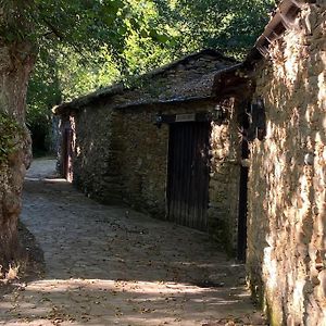 Casa Vilacha - Ribeira Sacra Villa Puebla Del Brollon Exterior photo