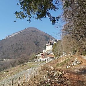 Charmant Appartement Lac D'Annecy / Ski - 6 Pers Menthon-Saint-Bernard Exterior photo