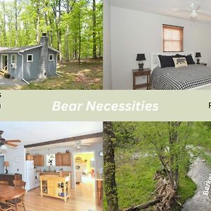 Bear Necessities -Forget Your Worries! Great Cacapon Exterior photo