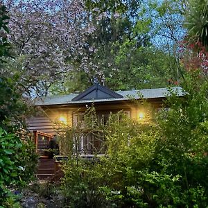 Mountain Cottage In Dandenong Ranges Mount Dandenong Exterior photo