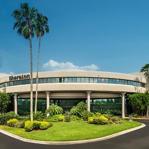 Sheraton Tampa Brandon Hotel Exterior photo