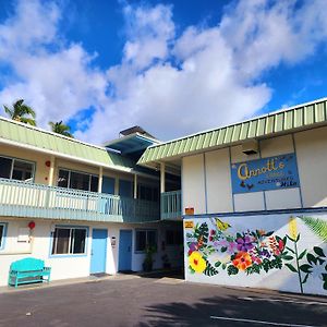 Arnott'S Lodge & Hiking Adventures Hilo Exterior photo