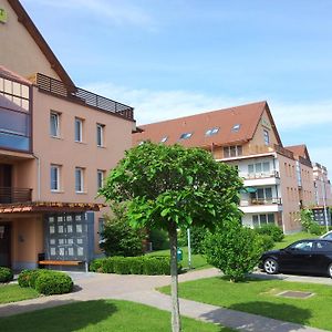 Apartmaji Manita Apartment Moravske-Toplice Exterior photo