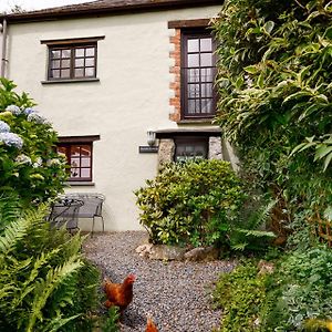 Beech Cottage Launceston Exterior photo