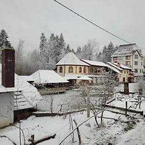 Ворота Карпат Hotel Deliatyn Exterior photo