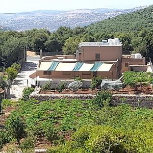 Wild Strawberry Farm Ajloun مزرعة القيقب عجلون Apartment Ishtafayna Exterior photo