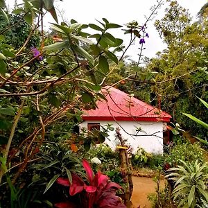 The Jungle Life Homestay Thangamalay Sanctuary Haputale By Gisela Sivam Exterior photo