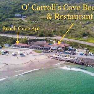 O' Carroll'S Cove Accommodation - Beach Cove Apartment Caherdaniel Exterior photo