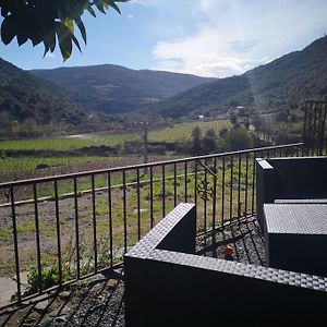 Au Coeur Des Vignes, Entre Montagnes Et Riviere Villa Vieussan Exterior photo