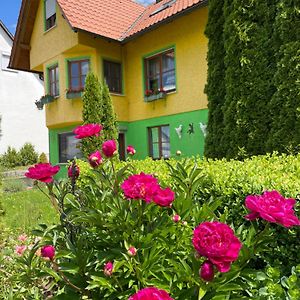 Haus Rosa Apartment Sankt Johann  Exterior photo