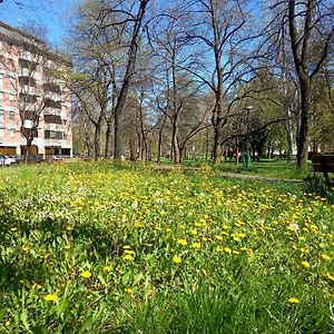 B&B Wiligelmo Intero Appartamento Con Colazione Inclusa Modena Exterior photo