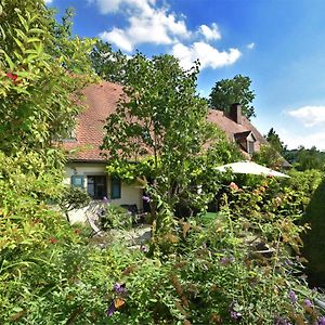 Cosy Holiday Home With Gazebo Weissenburg in Bayern Exterior photo