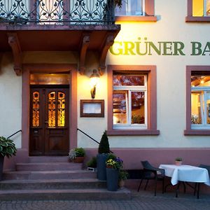 Hotel & Restaurant Gruener Baum Merzhausen Freiburg im Breisgau Exterior photo