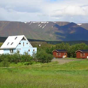 Guesthouse Petursborg Akureyri Exterior photo