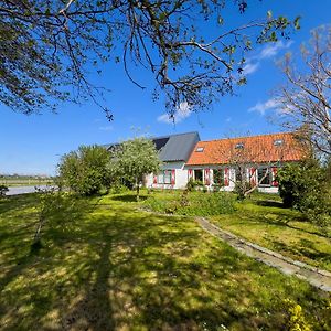 Het Zoete Peerd Bed & Breakfast Groede Exterior photo