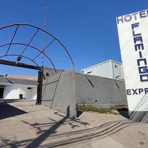 Hotel Flamingo Express Iquique Exterior photo