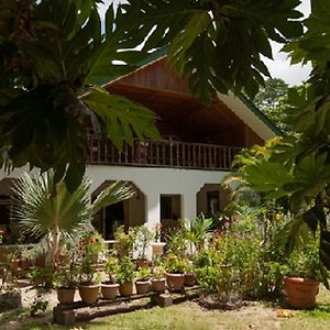 Jeanny'S Apartment Grand Anse  Exterior photo