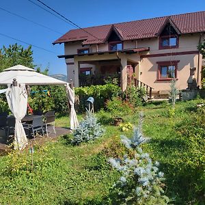 Vila Magnolia Villa Curtea De Arges Exterior photo