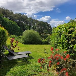 Appartement Calme Avec Jardin Bidart Biarritz Exterior photo