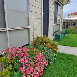 Beach Garden Getaway Villa Cheltenham Exterior photo