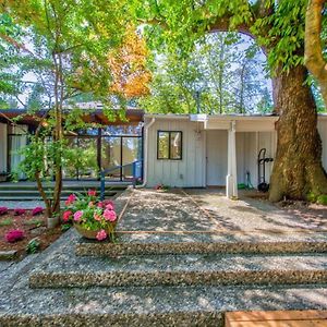 Adorable Home With Ac Walking To Downtown And Park Mercer Island Exterior photo