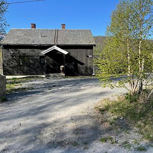 Naturskjont Og Sentralt, Flott Beliggende Stor Hytte Villa Fausko Exterior photo