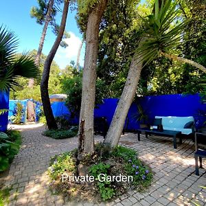 Studio With Beautiful Private Garden On The Forest In Domino Apartment Les Sables Vignier Exterior photo