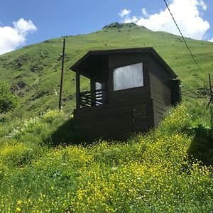 Sno Cottages Twins Kazbegi Exterior photo