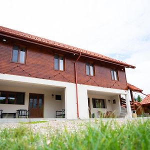 Cabana Valea Popii Hotel Sita Buzaului Exterior photo